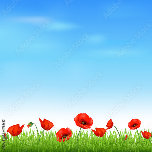 Fototapeta Naklejka Na Ścianę i Meble -  Landscape With Grass And Poppy