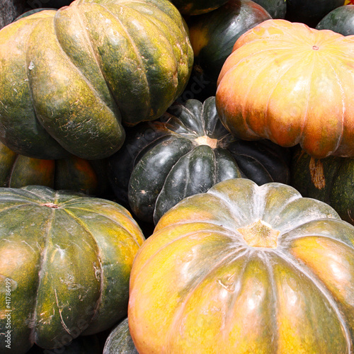 Marché & Souks - Citrouilles photo