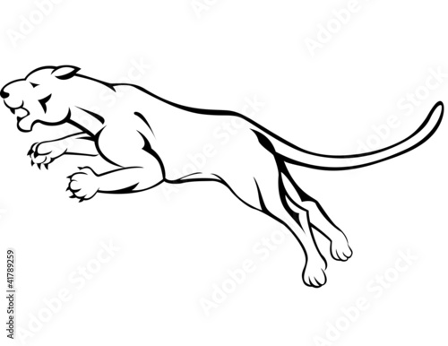 Angry panther jumping