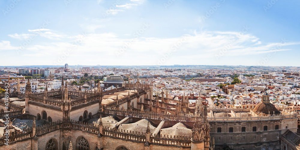 View from the Cathedral of Seville. Spain.