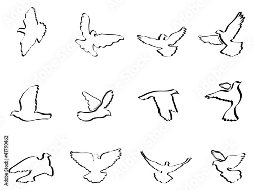 shape of pigeons and doves