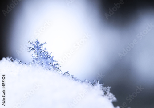 Snowflake in white snow © Nneirda