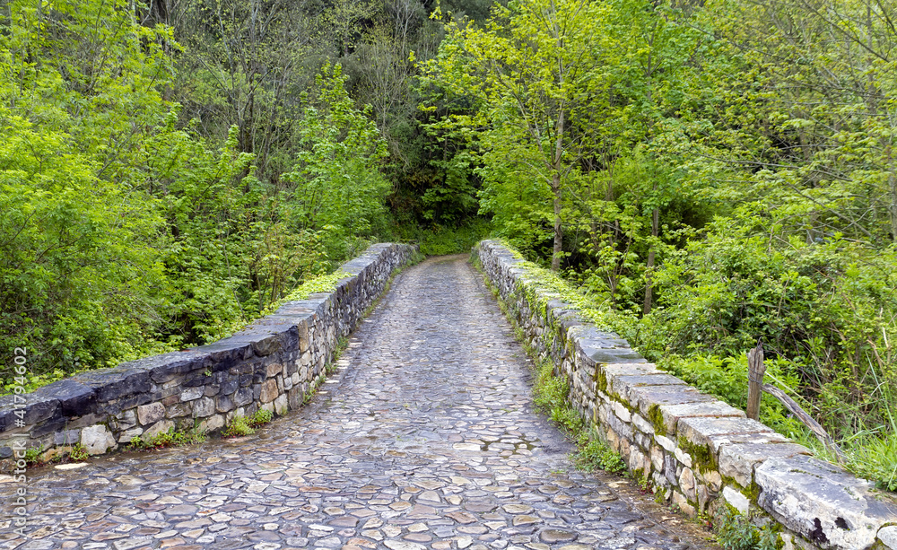 Roman bridge input, Poo de Cabrales. Roman bridge input, Poo de Cabrales.