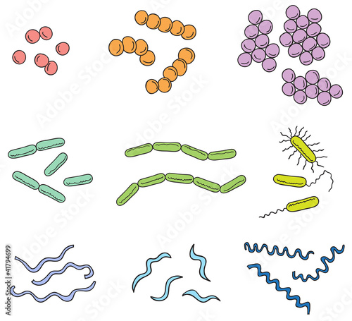 Illustration of many types of bacteria