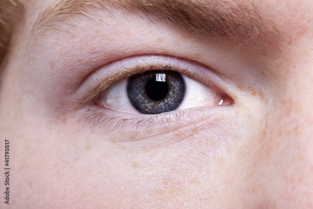 Fototapeta premium Niebieskie oczy