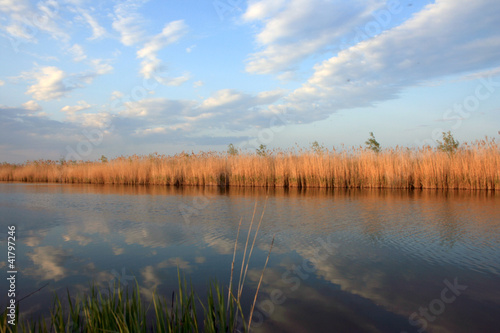 landscape in danube delta in summer