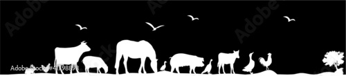ANIMAUX LA NUIT