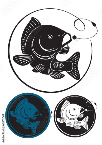 the figure shows the carp fish