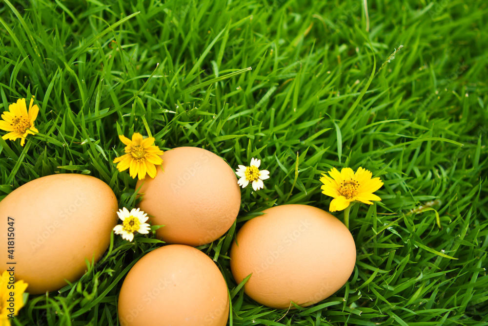 Easter Eggs with flower on Fresh Green Grass over white backgrou Easter Eggs with flower on Fresh Green Grass over white backgrou