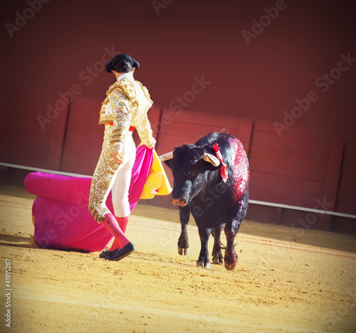 Torero with bull in the bullfighting arena in Spain
