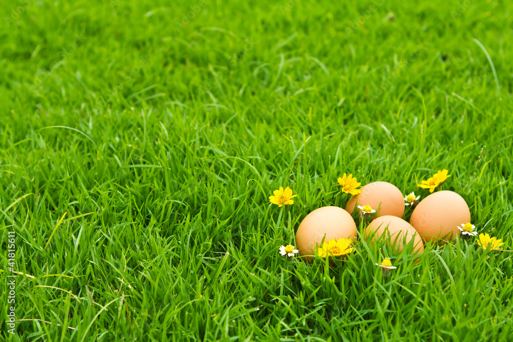 Fototapeta premium Easter Eggs with flower on Fresh Green Grass over white backgrou