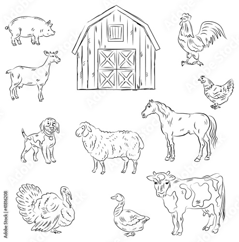 Farm animals