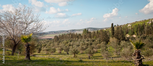 Spring landscape .
