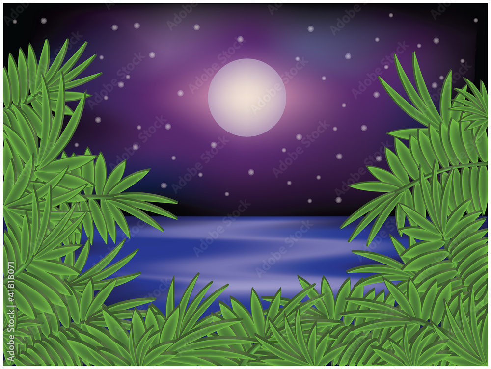 Tropical summer night card, vector illustration