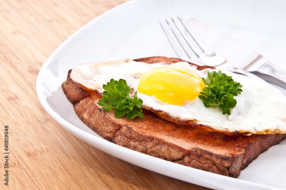 Meat loaf with fried egg on a plate Meat loaf with fried egg on a plate