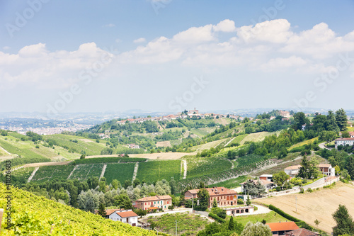 Canvas-taulu vineyar near Tana, Asti Region, Piedmont, Italy