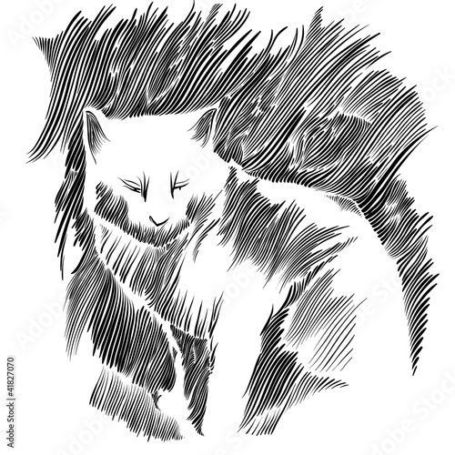 Cat vector drawing.