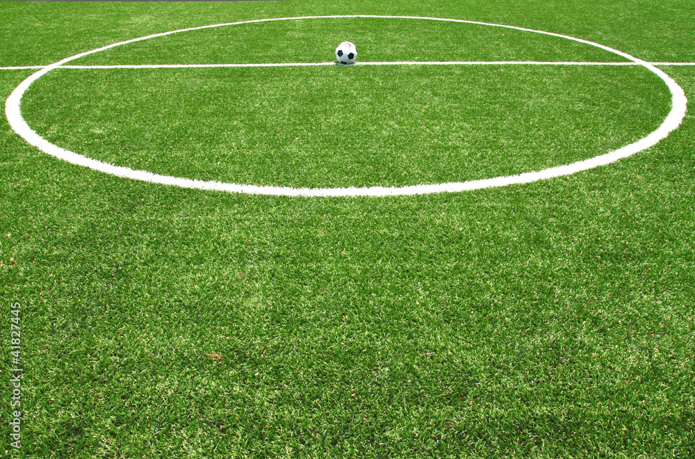 Obraz premium soccer field grass