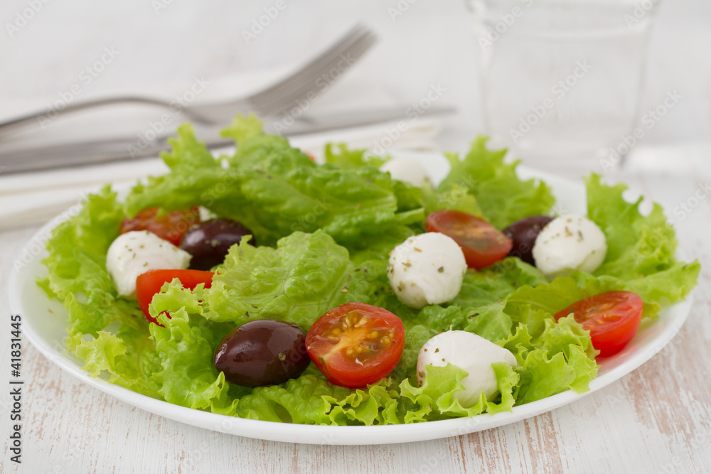 salad with cheese mozzarella on the plate salad with cheese mozzarella on the plate