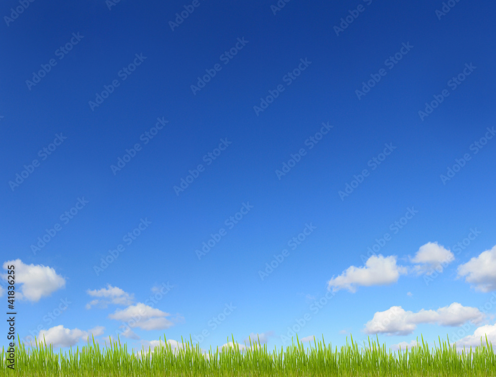 sky sun and grass background