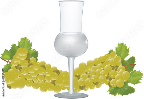 bicchiere di grappa