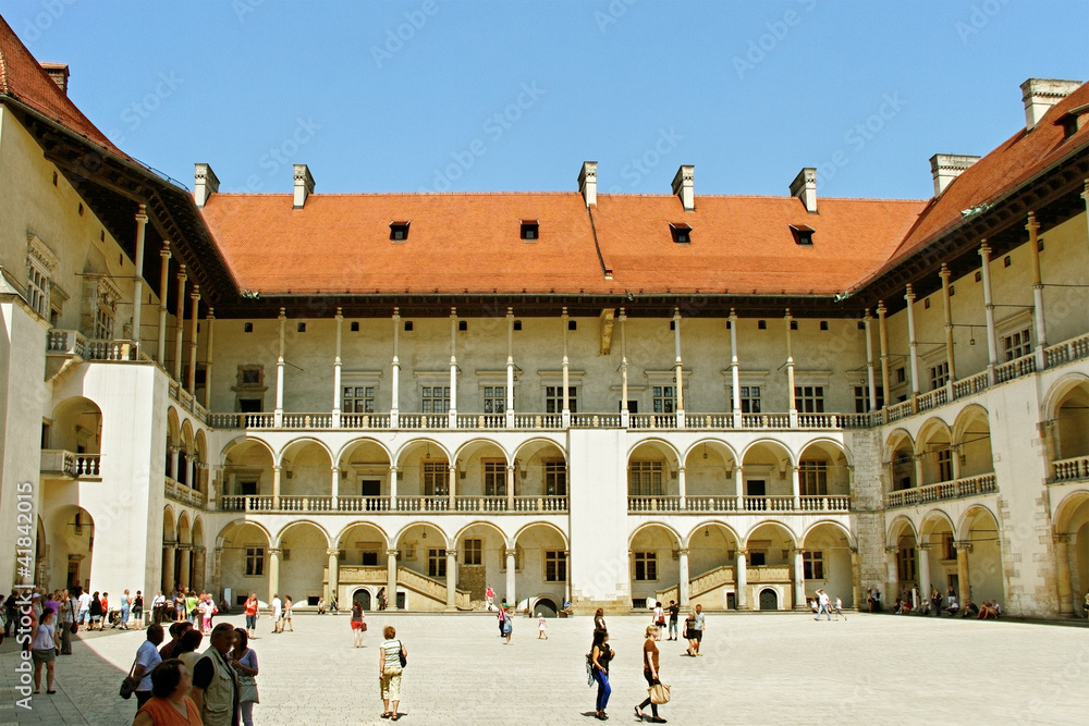 Obraz premium Wawel castle.