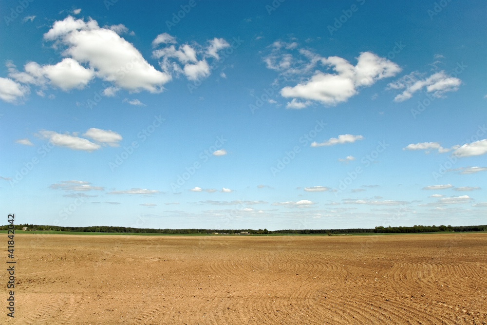 Country landscape.