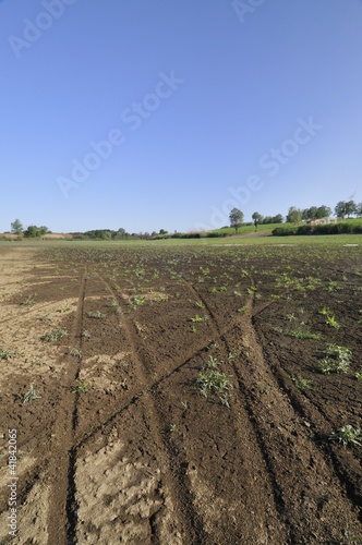 Tracks at the bottom of drained lake