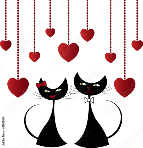 Love black cats