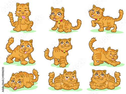 collection of nine cute kittens on white background