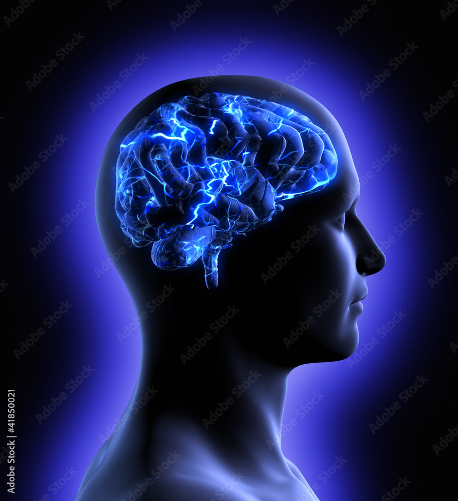 Brain Activity Brain Activity