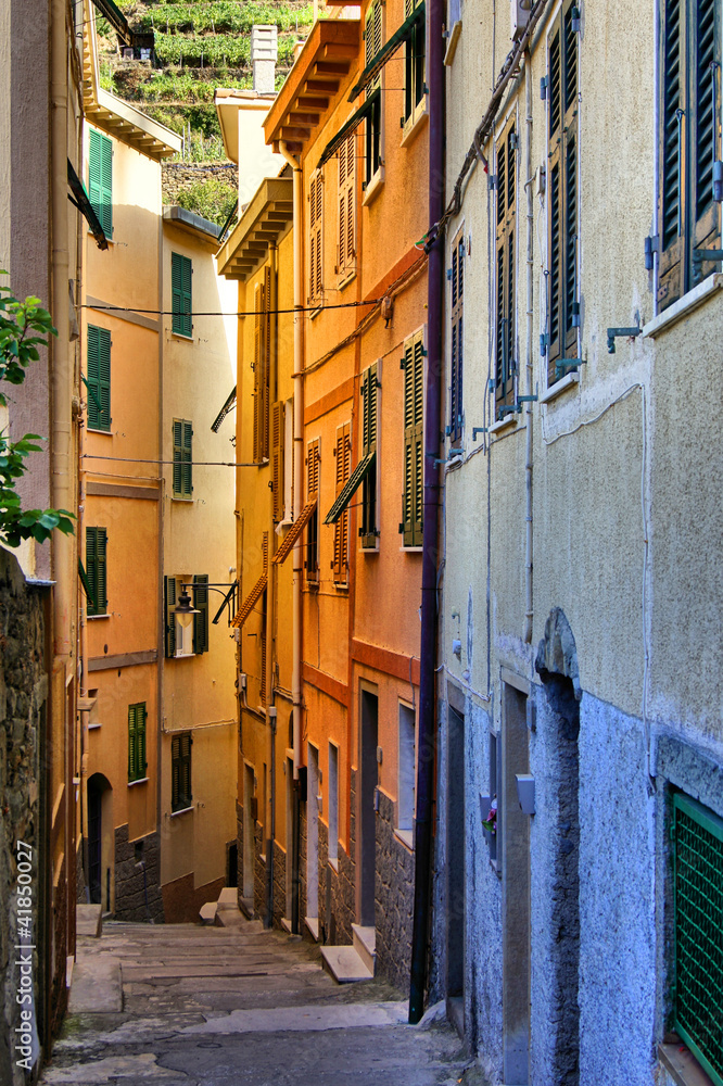 Fototapeta premium Colorful narrow street in the Cinque Terre, Italy