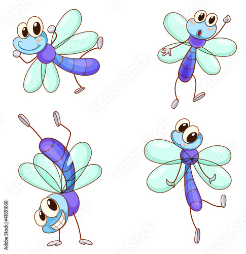 Dragonfly