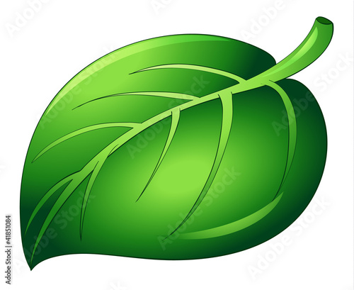Leaf