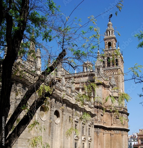 Giralda tower and Cathedral, Seville © Arena Photo UK photo