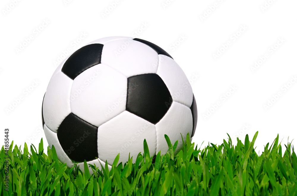 Fototapeta premium soccer ball