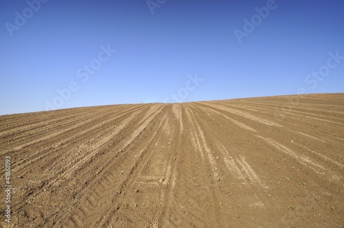 Cultivated field on the slope