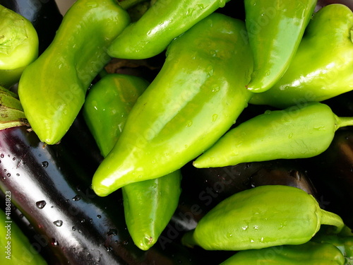 Grüne Paprika und frische Auberginen im Sommer bei einem Grillfest im Dorf Maksudiye bei Adapazari in der Provinz Sakarya in der Türkei photo