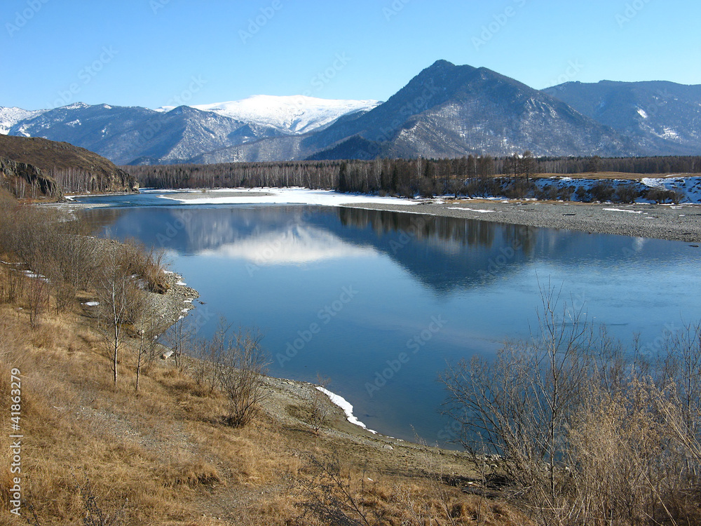 Katun River in the valley Uimon. Gorny Altai