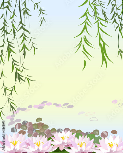 Water the plant with lily