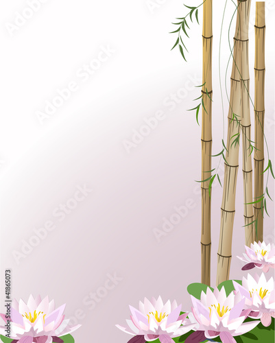 Water the plant with lily