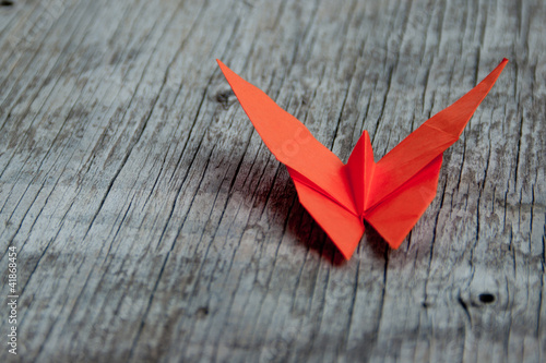 Farfalla origami