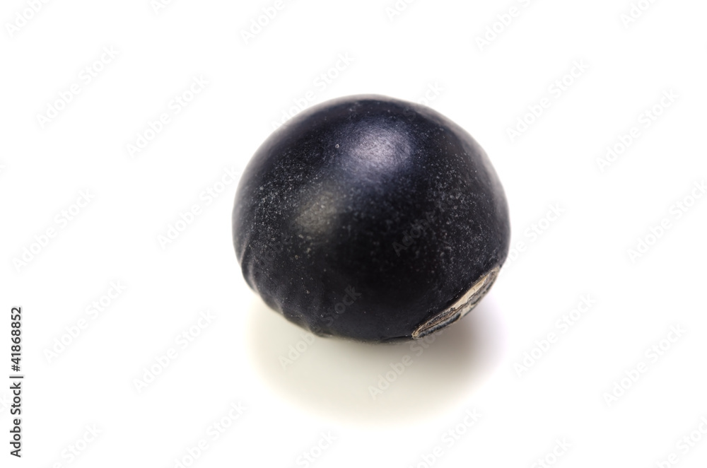黒豆 黒豆