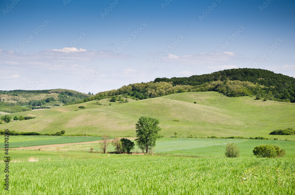 green field background
