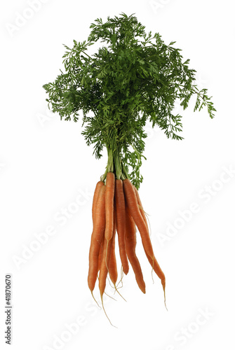 Floating Orange Carrots