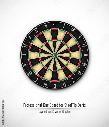 Professional Dartboard for Steel Tip Darts