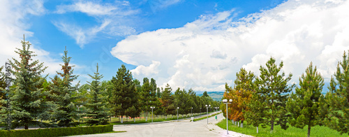 panorama of nature - green trees and blue sku