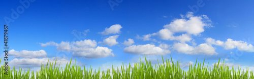 green grass and blue sky panorama with clouds