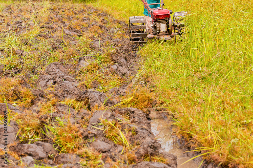 hard working farmer preparing the ground for the growth of rice hard working farmer preparing the ground for the growth of rice