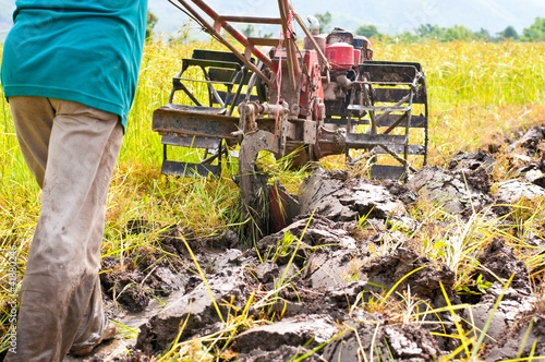 hard working farmer preparing the ground for the growth of rice photo